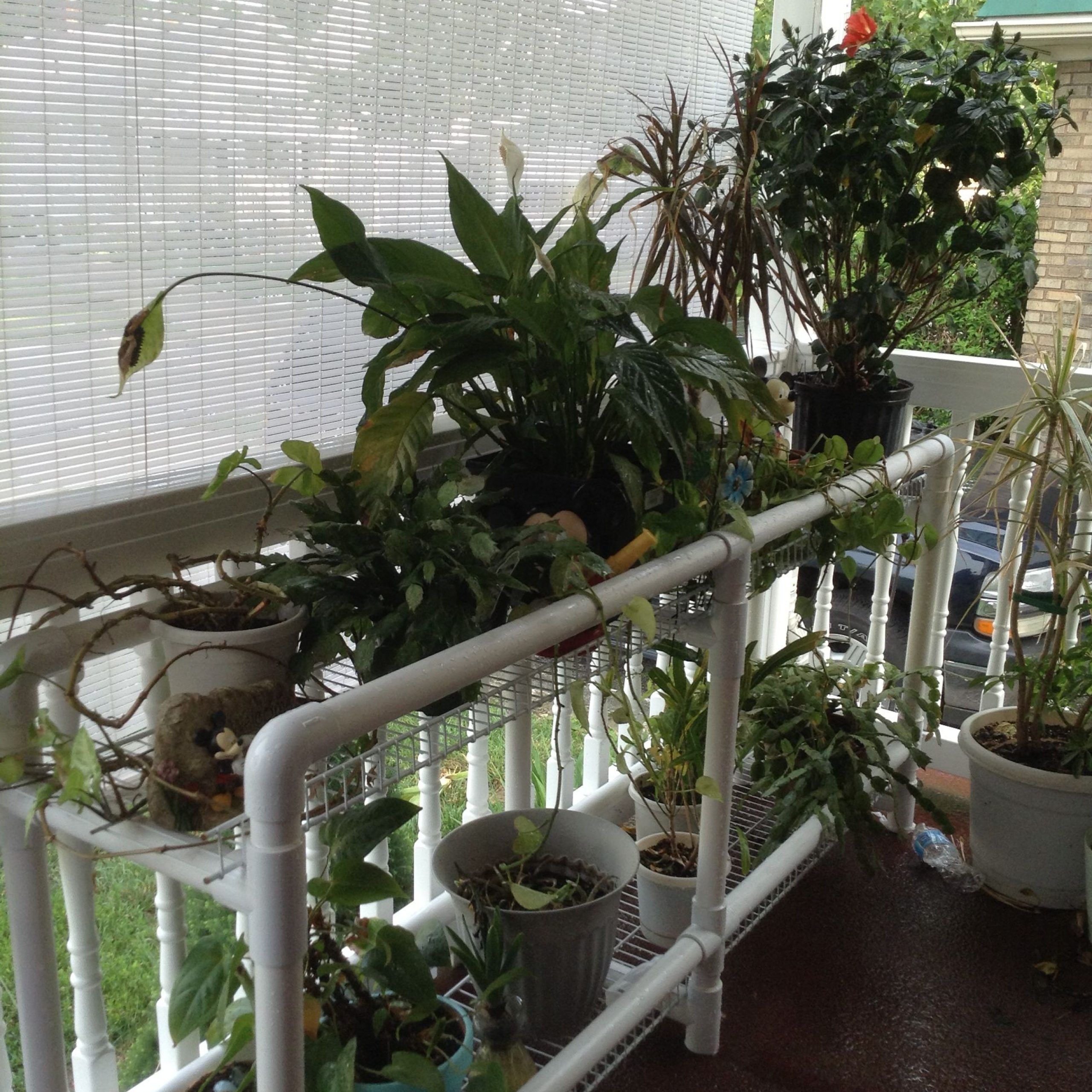 Pvc Plant Stand | Diy Plant Stand, Plant Stands Outdoor, Cool Plants In Pvc Plant Stands (View 1 of 15)