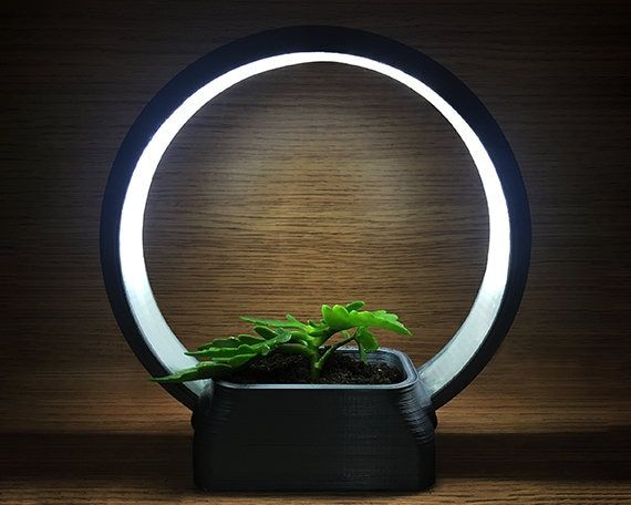 Ring Light Stand Indoor Plant Stand 3d Printed Ring Desk – Etsy Intended For Ring Plant Stands (View 6 of 15)
