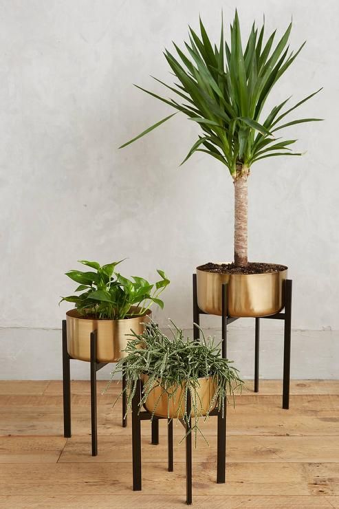 Rossum Brass Metallic Plant Stands In Gold Plant Stands (View 15 of 15)