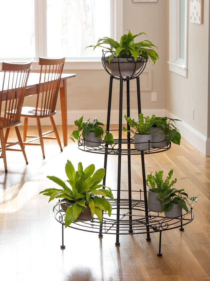 Round 3 Tier Tall Plant Stand With Vintage Style | Gardeners | Tall Plant  Stands, Plant Stand Indoor, Plant Decor Indoor Within Round Plant Stands (View 15 of 15)