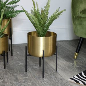 Round Gold Plant Stand – Medium In Medium Plant Stands (View 11 of 15)