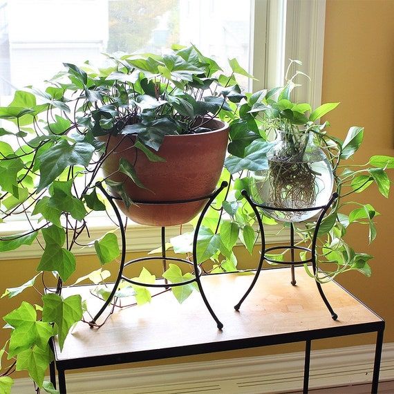 Set Of Two Ball End Wrought Iron Plant Stands Indoor/outdoor – Etsy (View 3 of 15)