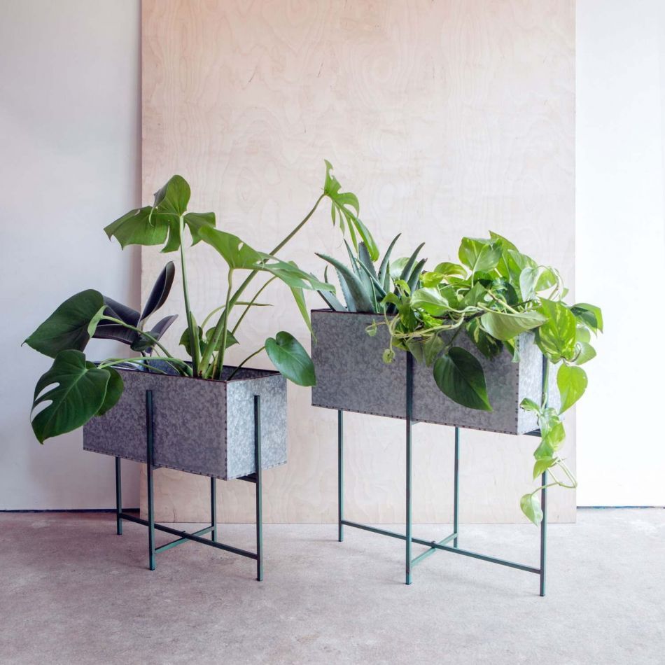 Set Of Two Rectangular Zinc Plant Stands | Graham & Green In Green Plant Stands (View 8 of 15)