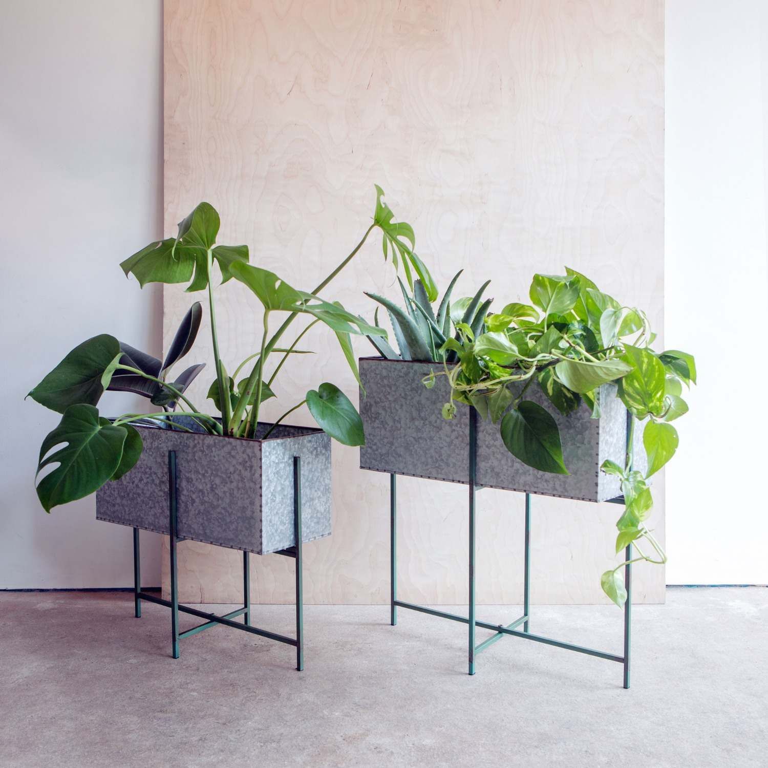 Set Of Two Rectangular Zinc Plant Stands | Graham & Green In Rectangular Plant Stands (View 1 of 15)