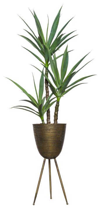 Skinny Yucca X 3 In Bronze Plant Stand – Lux Art Silks With Bronze Plant Stands (View 9 of 15)