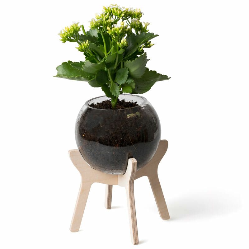 South African Poitjie Pot Plant Stand • That Little Shop For Plant Stands With Flower Bowl (View 8 of 15)