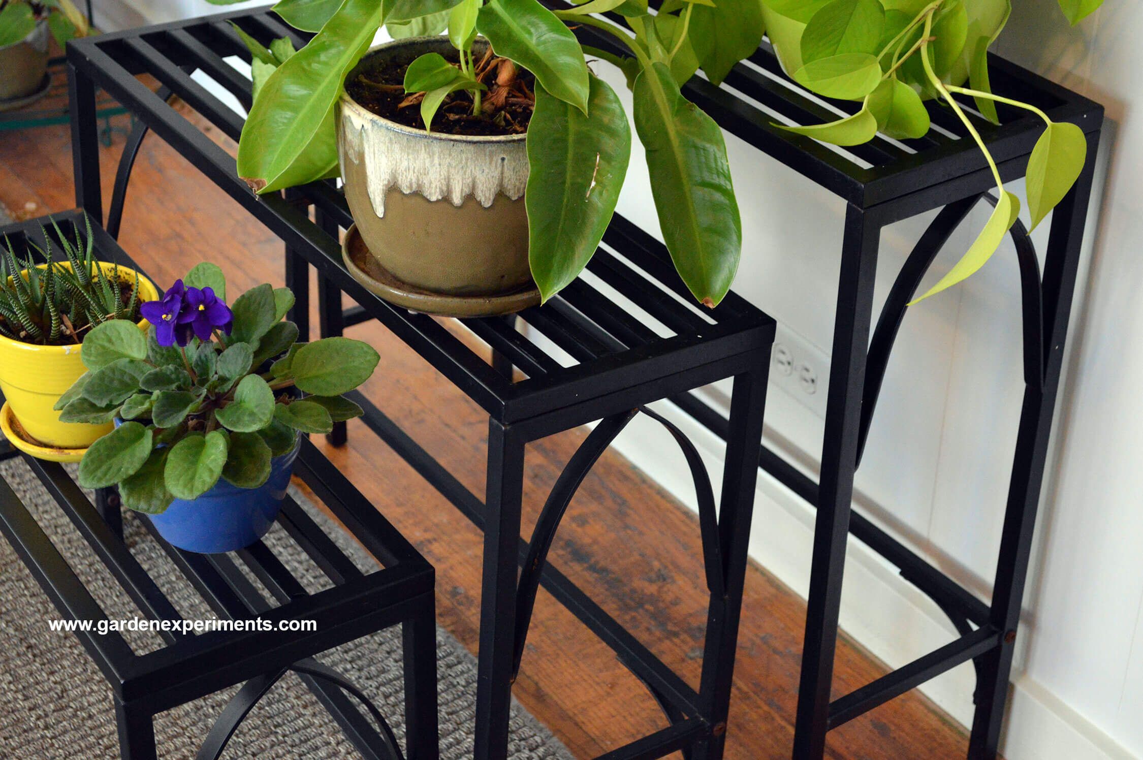 Sturdy Metal Plant Stand Holds 12 Plants Intended For Outdoor Plant Stands (View 7 of 15)
