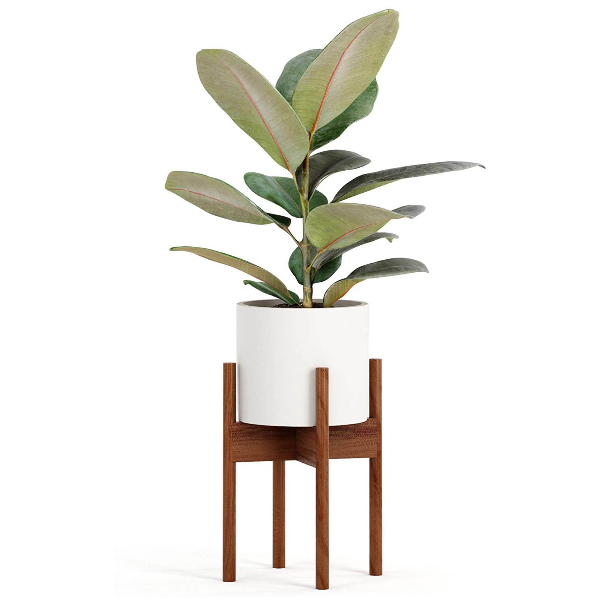 The 12 Best Plant Stands To Upgrade Your Space 2022 Regarding 5 Inch Plant Stands (View 15 of 15)