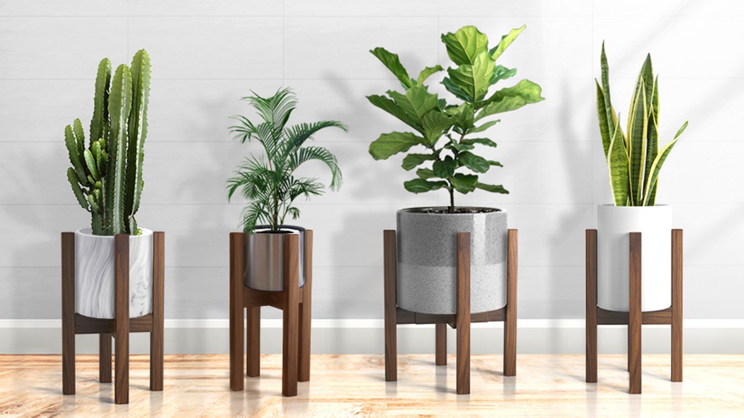 The 8 Best Plant Stands For Every Style For Modern Plant Stands (View 13 of 15)