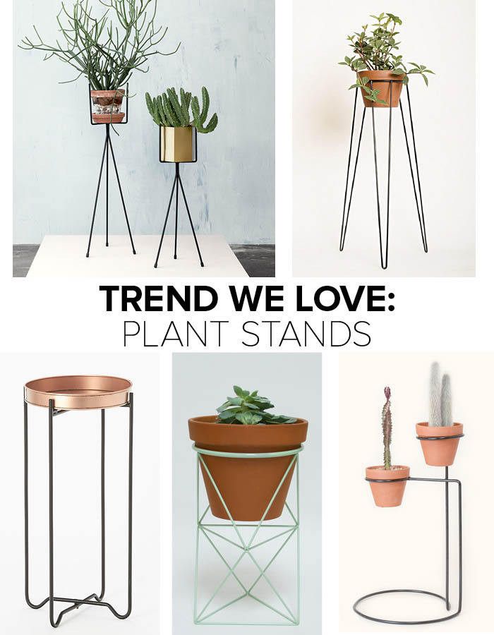 Trend We Love: Plant Stands – Trends We Love – Lonny With Regard To Ring Plant Stands (View 2 of 15)