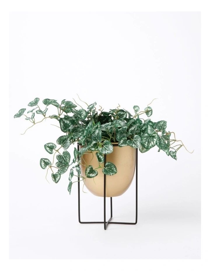 Vue Arne Planter Stand Small 21x15x15cm In Bronze/black | Myer For Bronze Small Plant Stands (View 15 of 15)
