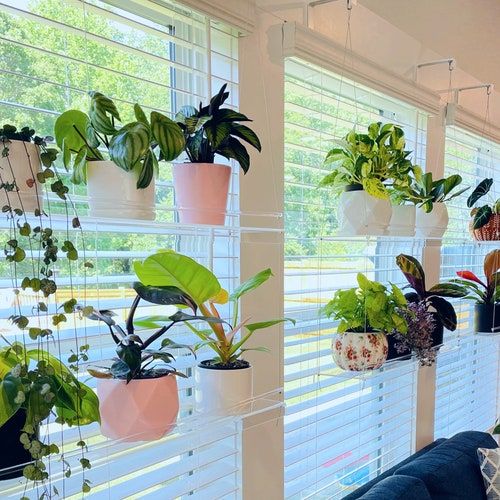 Window Plant Shelf Hanging Shelf Acrylic Plant Shelves – Etsy In Acrylic Plant Stands (View 13 of 15)