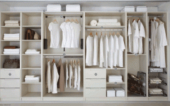 30 Best Double Rail Wardrobe with Drawers