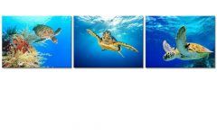 20 Best Sea Turtle Canvas Wall Art