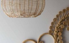 15 Collection of Rattan Lights Fixtures