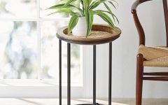 2024 Best of 15.5-inch Plant Stands