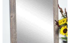 The Best Lajoie Rustic Accent Mirrors