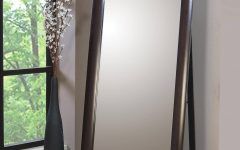 Contemporary Floor Standing Mirrors