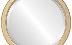 15 Collection of Gold Rounded Edge Mirrors