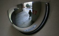 15 Collection of Curved Mirrors