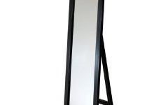 25 Inspirations Free Standing Mirrors