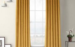 2024 Best of Heritage Plush Velvet Single Curtain Panels