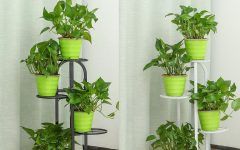 Top 15 of Four-tier Metal Plant Stands