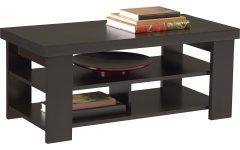 30 Photos Coffee Tables with Shelves