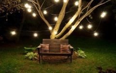 10 Best Ideas Hanging Lights on Large Outdoor Tree