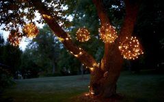 Hanging Lights on an Outdoor Tree