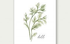 20 Collection of Herb Wall Art