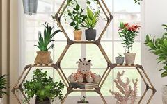  Best 15+ of Hexagon Plant Stands