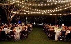 2024 Popular Hanging Outdoor Lights for a Party