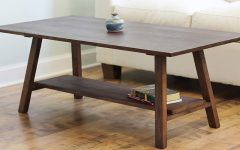 Top 15 of Coffee Tables with Shelf