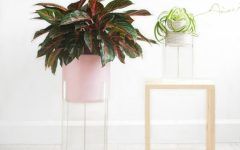15 Best Ideas Clear Plant Stands