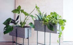 Rectangular Plant Stands