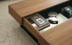 Open Storage Coffee Tables