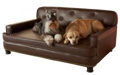 30 The Best Sofas for Dogs