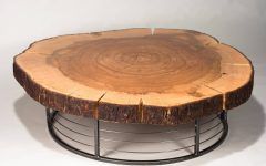 15 Ideas of Tree Trunk Coffee Table