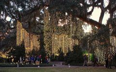 2024 Latest Hanging Outdoor Christmas Lights in Trees